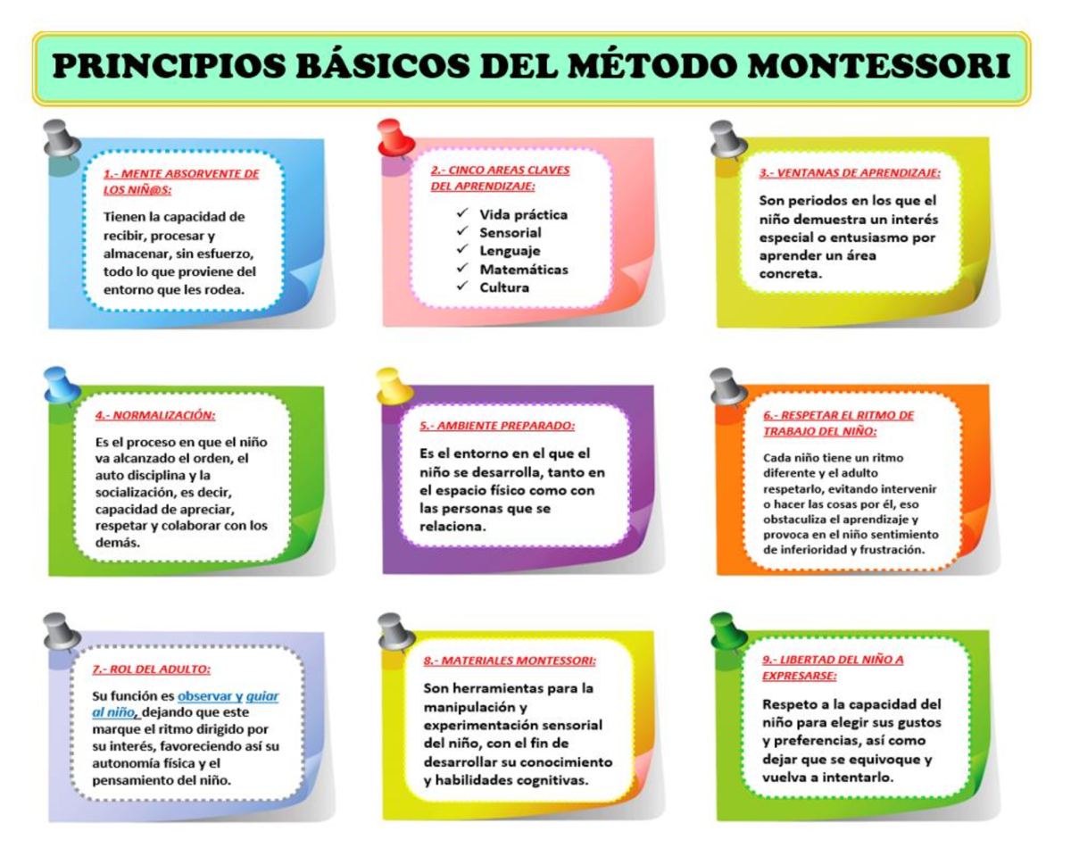 Descubre los principios más importantes del Metodo Montessori