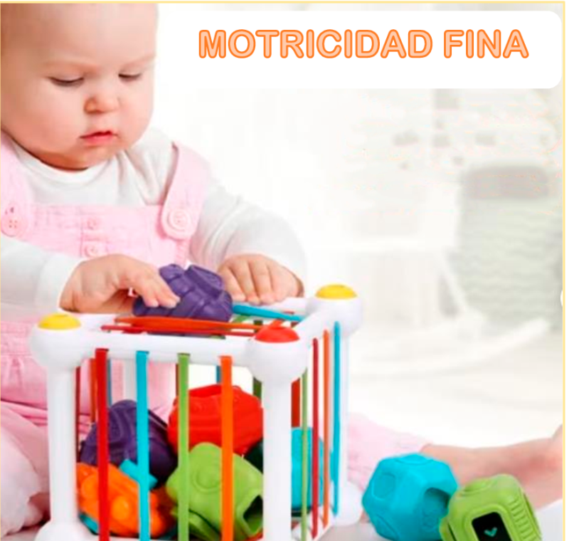 caja sensorial montessori